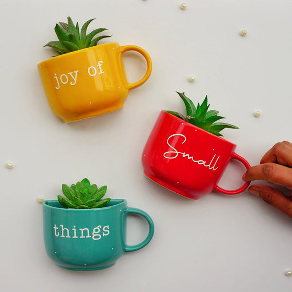 Cup Planter for Wall | Joy of Small Things | - Ceramic Wall Decoration India - Buy Online - Free Shipping